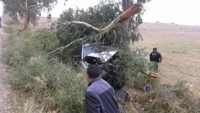 صورة مصرع ثلاثة إخوة في حادث ارتطام سيارة بشجرة نواحي اقليم برشيد سير .